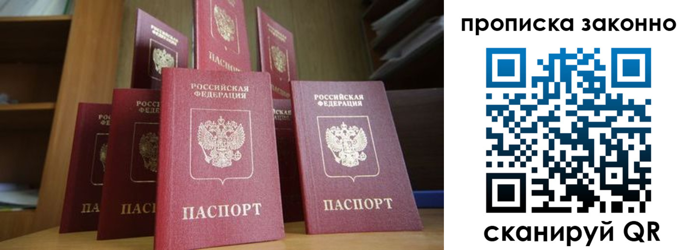 прописка в квартире в Волгоградской области